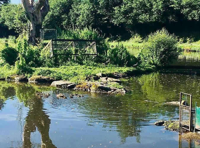 Le Refuge Des Canards Saint-Aubin-le-Cloud photo