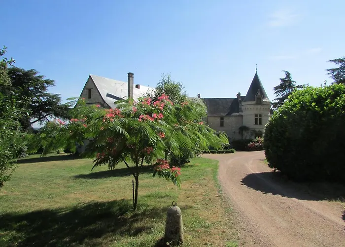 Chateau De La Roche Martel Bed & Breakfast Roiffe photo