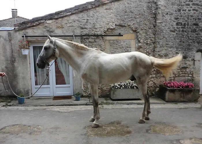Gite Des Ecuries Du Seillery La Clisse photo