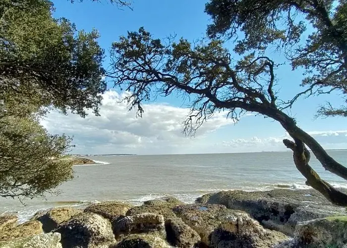 Campagne Et Mer Saint-Andre-de-Lidon photo