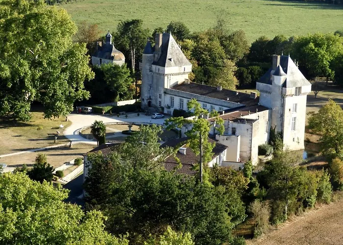 Chateau De Mornay Saint-Pierre-de-l'Isle photo