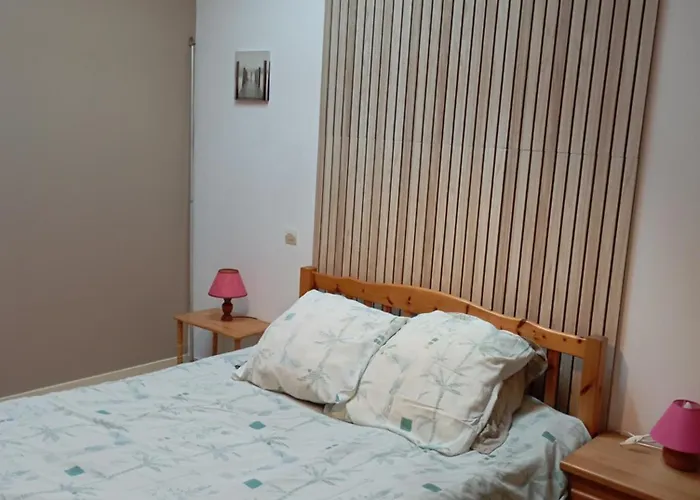 Brioux-Sur-BoutonneMarronnier 1アパートメントの写真