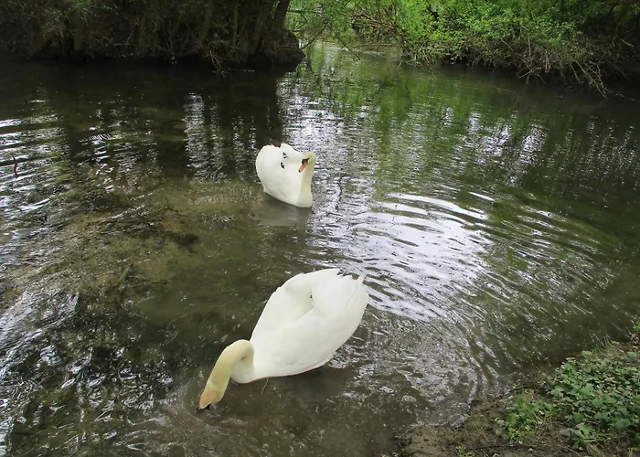 A Cote D'Angouleme Villa Sireuil  foto