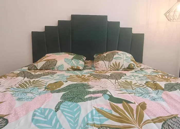 Appartement T2 Style Tropical Tout Confort Centre Ville Angoulême fotoğrafı