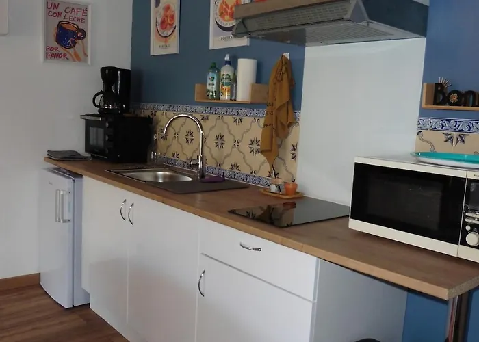 Gite 3 La Vigne Est Belle Pour 1 A 3 Personnes Lagarde-sur-le-Ne fotorgafie