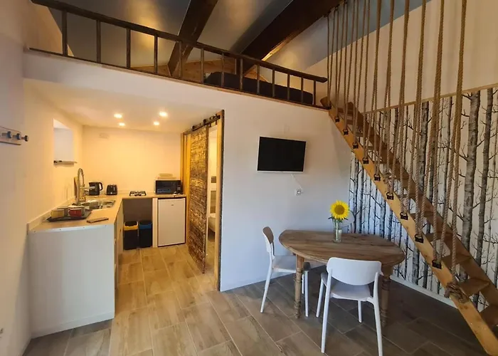 Studio mezzanine chez des mushers Chassiecq Foto