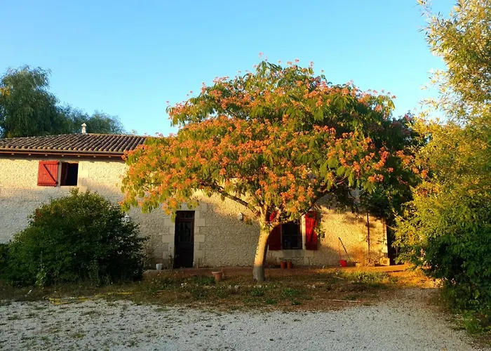 Gite De La Maingotiere Voulonの写真