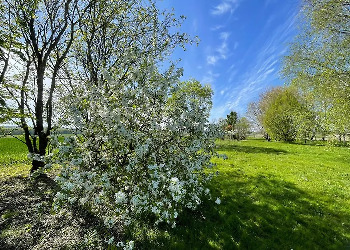 Domaine Des Anes - Gites Et Roulotte Tugeras-Saint-Maurice Foto