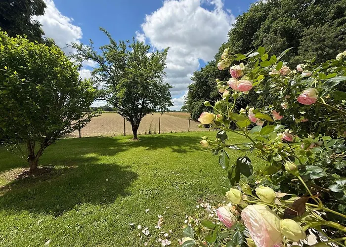 Vila Le Mimosa Saint-Sauvant  fotorgafie