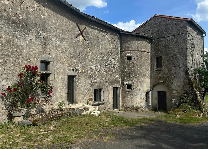 Chateau De Chausserais - 5 Chambres, 4 Salles D'Eau - A 55 Minutes Du Puy-Du-Fo U Chiché foto